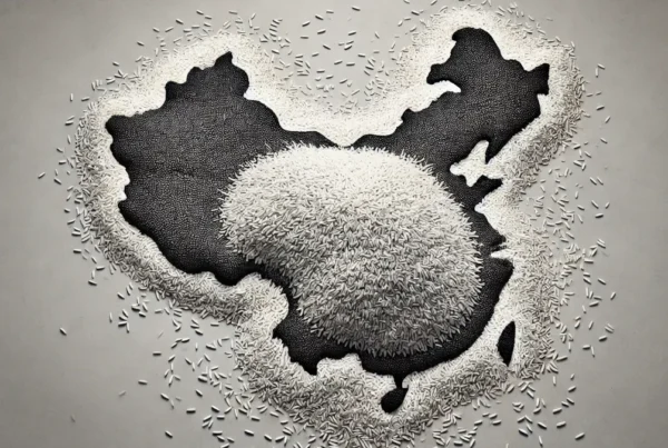 Pile of Rice on a Map of China