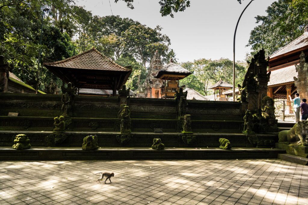 Temple courtyard with a lone monkey, Bali