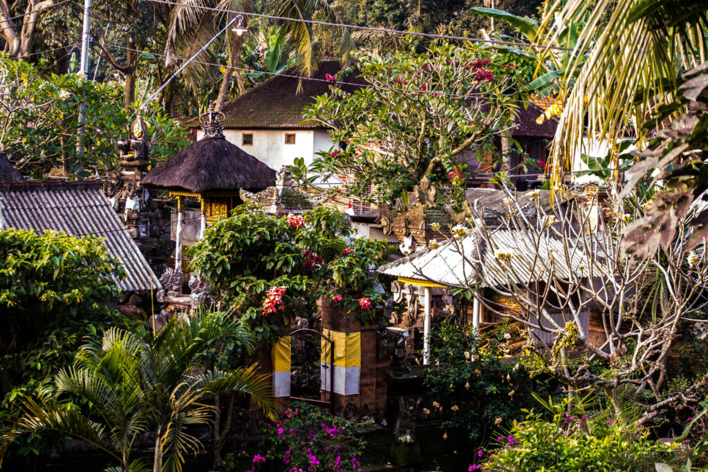 Village shrine roofs among the trees, Bali