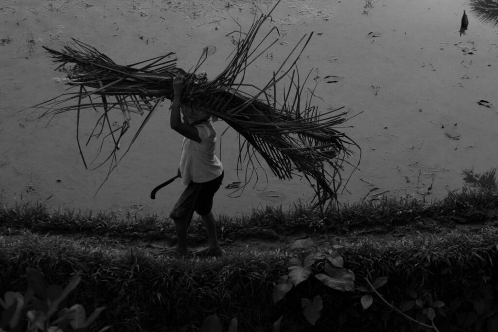 Farmer carrying palm fronds, black and white, Bali