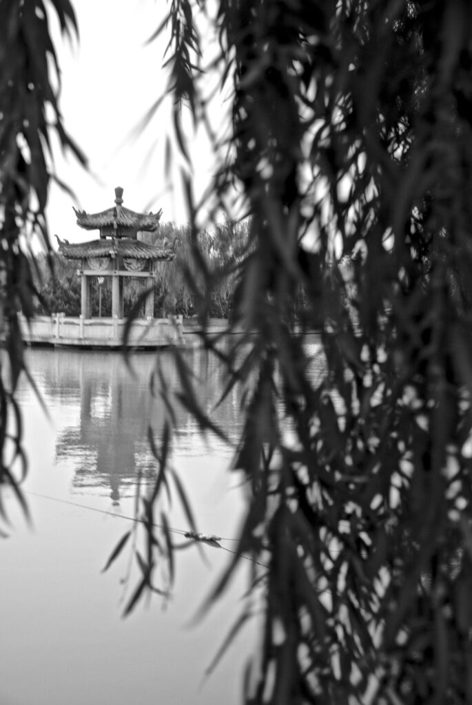 Pavilion through willow fronds, black and white, Lutai at Mid-Autumn