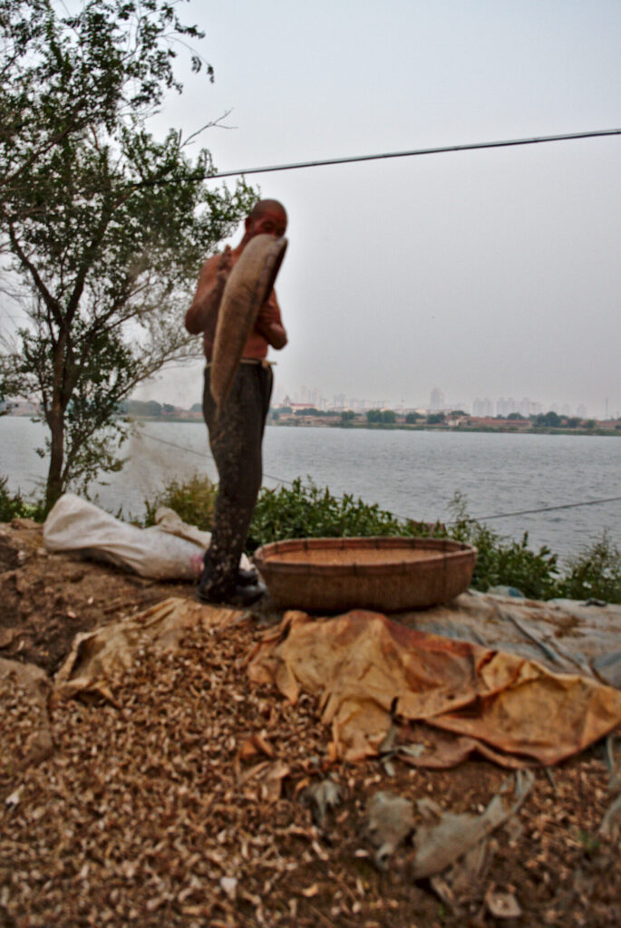 Angler hoisting his catch by the water, Lutai at Mid-Autumn