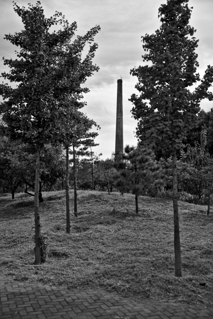 Young trees with the chimney beyond, black and white, The Old Chimney