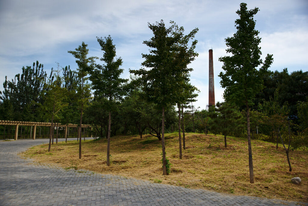 Young trees on a grassy mound, chimney in the distance, The Old Chimney
