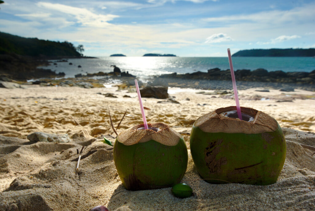 Coconuts on the sand, Phuket