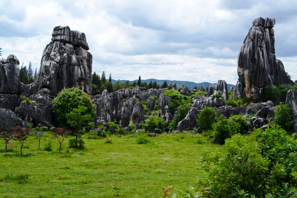 Limestone pillars, Stone Forest, Yunnan: Kunming to Shangri-La